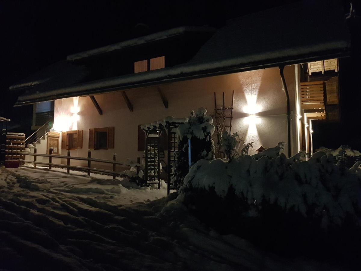 Haus Sunshine Lejlighed Hermagor-Pressegger See Eksteriør billede